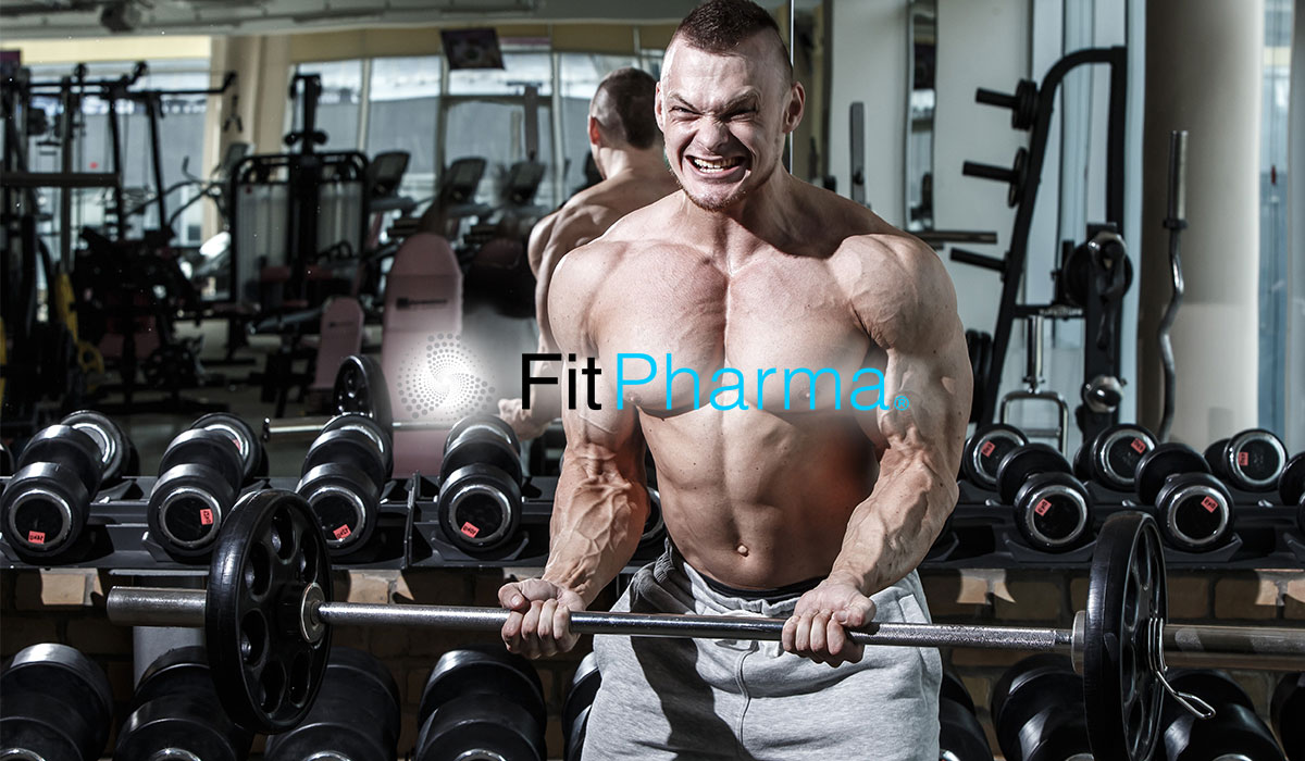 Conoce los ciclos según tu objetivo corporal